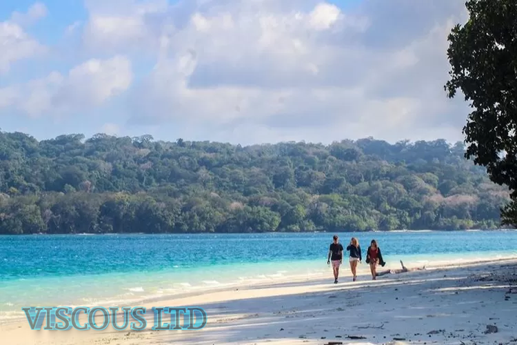 Pesona Pulau Peucang di TN Ujung Kulon, Destinasi Memikat untuk Libur Long Weekend